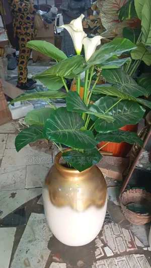 Quality Decorative Followers