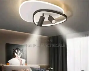 Modern Led Ceiling Light | 3 Colour Modes | Decorative Ceiling Fitting