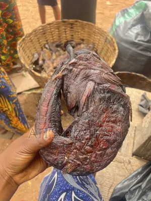 Affordable Fish