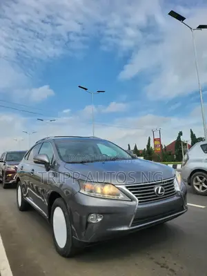 Lexus RX 2013 Gray