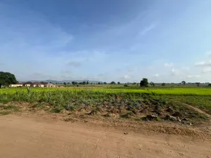 Residential Plot
