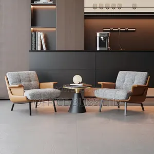 A Set of Luxury Lesiure Sofa Armchair ( Hotel Apartment)