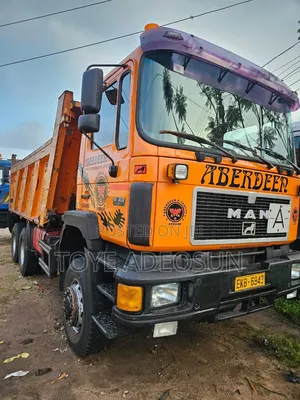 Man Diesel Dump Truck for Dale