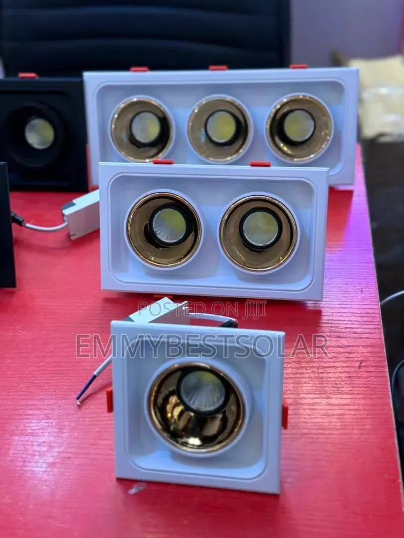 12w Double Recess Spot Light
