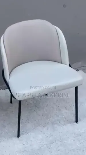 Dining Chair / Modern Restaurant Chair