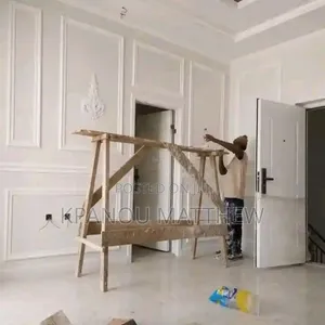 A Professional Painter