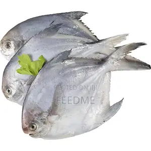 Owere (Butterfish)