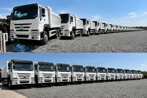 15 Units of Howo Dump Trucks Available for Lease