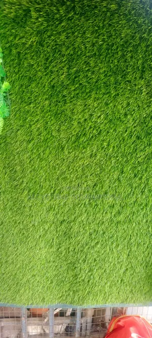 Quality Standard Grass Carpet 20 Mm