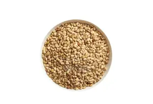 Beans Oloyin