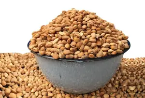 Beans (Drum)
