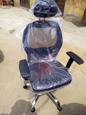 Ergonomics Office Net Chair