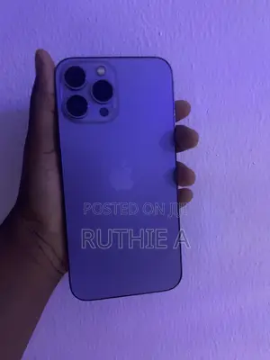 Apple iPhone 13 Pro Max 128 GB Gray