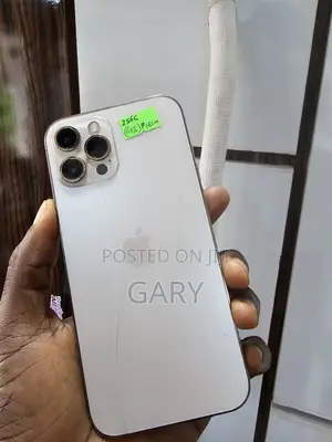 Apple iPhone 12 Pro Max 256 GB White