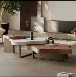 Italian Minimalist Irregular Creative Art Luxury Centre Table