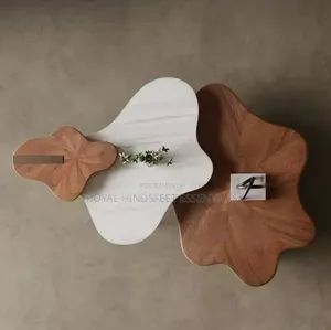 Italian Minimalist Irregular Creative Art Luxury Centre Table