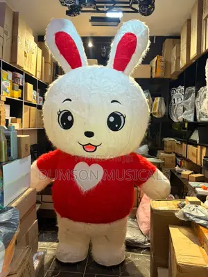 Rabbits Costume
