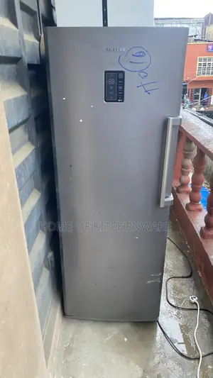 Samsung Upright Inverter Freezer