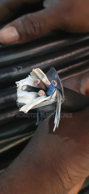 2.5mmx4core Amoured Cable