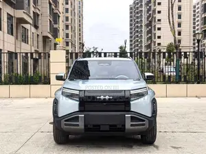 BYD Leopard 5 2025 Gray