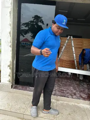 Automated Frameless Sensor Door