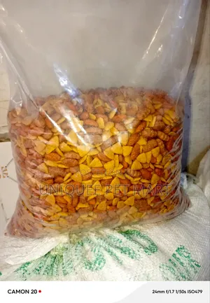 Dog Chow 4kg Dog Food