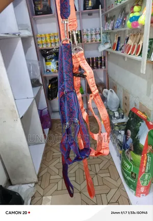 Dog Harness