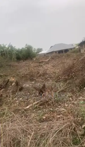 1 Plot of Land