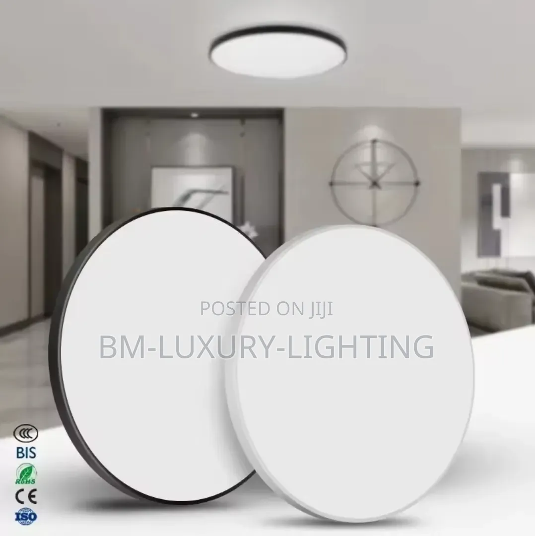 Ceiling Light