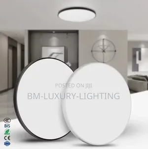 Ceiling Light