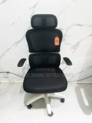 High Back Ergonomic Office Chair