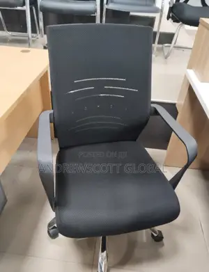 Brand New Imported Executive Office Chair
