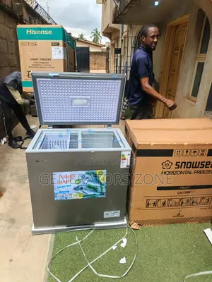 Snowsea Bd-258176l Chest Freezer With Quality Construction