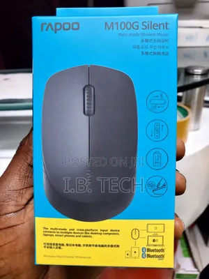 Rapoo M100 Multi-Mode Silent Wireless Mouse