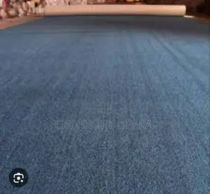 Tufted Wall-wall Rog Carpet