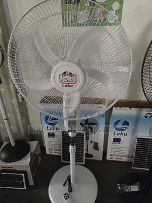 Standing Fan