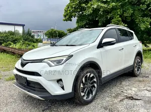 Toyota RAV4 Limited AWD 2019 Gray