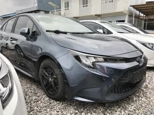 Toyota Corolla 2023 Gray