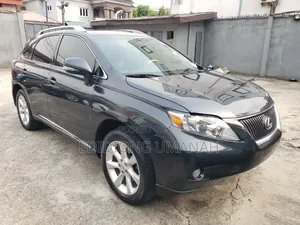 Lexus RX 2010 Gray