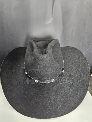 Wide-Brim Fedora Black Luxury Hat