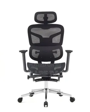 Ergonomic Chair