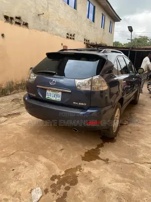 Lexus RX 2009 Gray