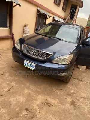 Lexus RX 2009 Gray
