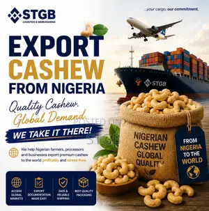 Cashew Export From Nigeria – Fast Reliable