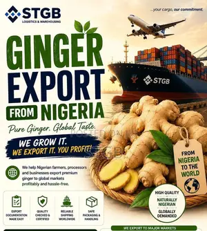 Ginger Export From Nigeria – Fast Reliable