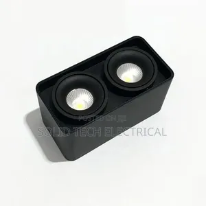Surface Double Recess Light