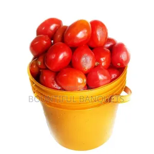 Paint of Fresh Red Tomatoes