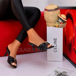 Original Italian Female Luxury Zara Slipper's