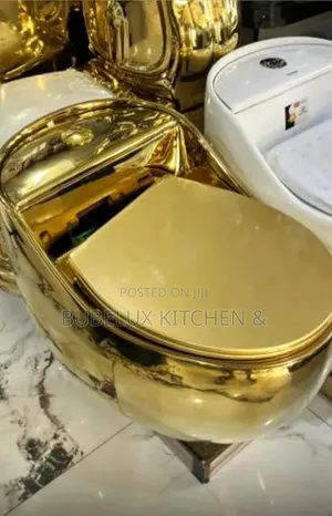 Brand New Luxury Gold Egg Toilet- Mirror Gold Finish + Soft Close Seat