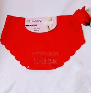 Ladies Seamless Ribbed Lace Panties